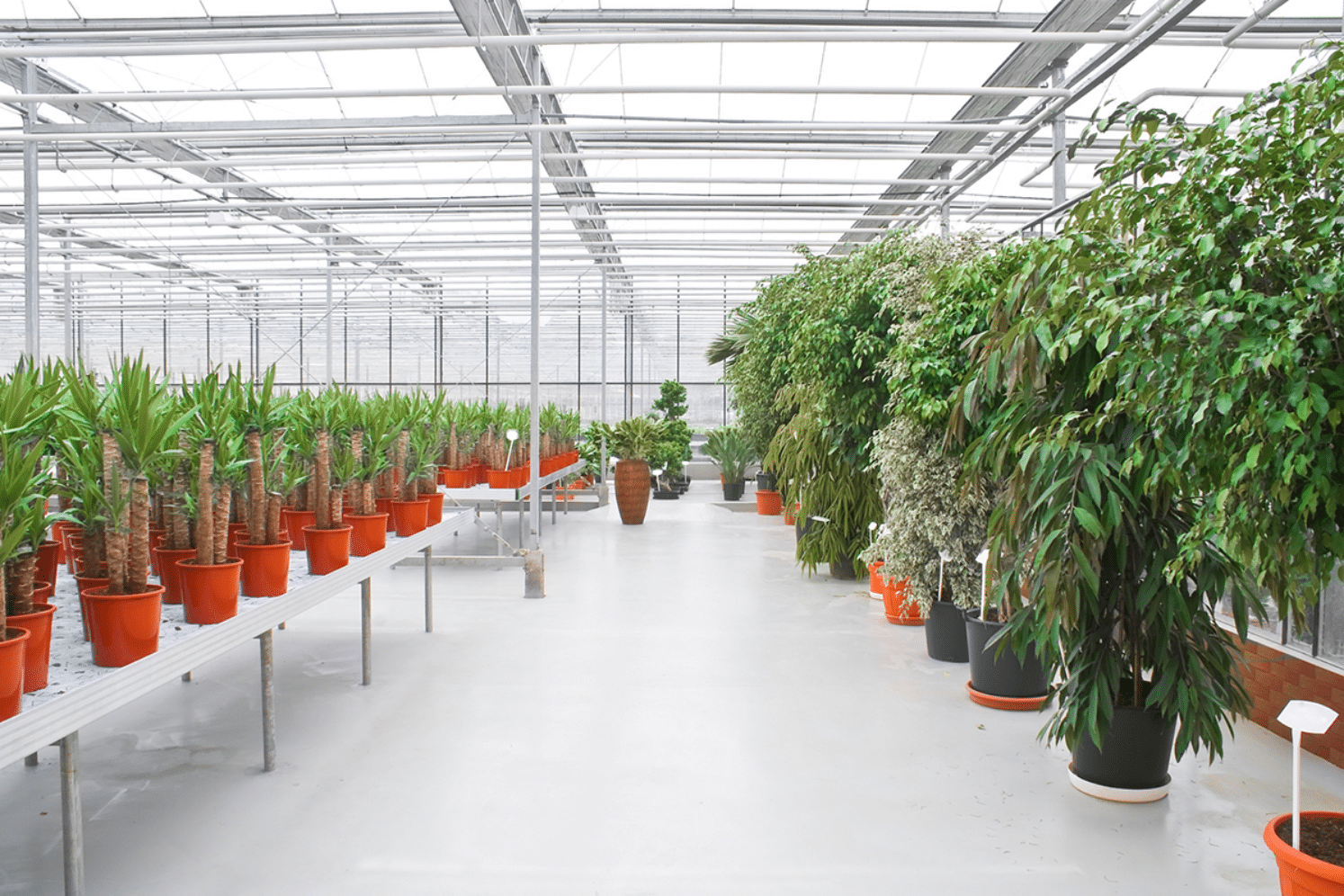 Why You Should Use Kunyan Polycarbonate Sheets for Your Greenhouse (2)